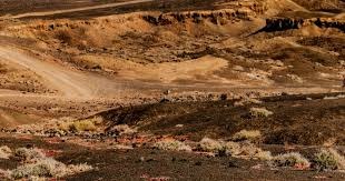 为什么百家乐桌永远不缺人？（百家乐为何总是人气爆棚？）