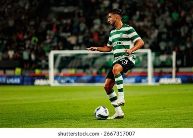 退役后务农，哈姆西克：和妻子养了29只鸡，鸡蛋多得吃不完