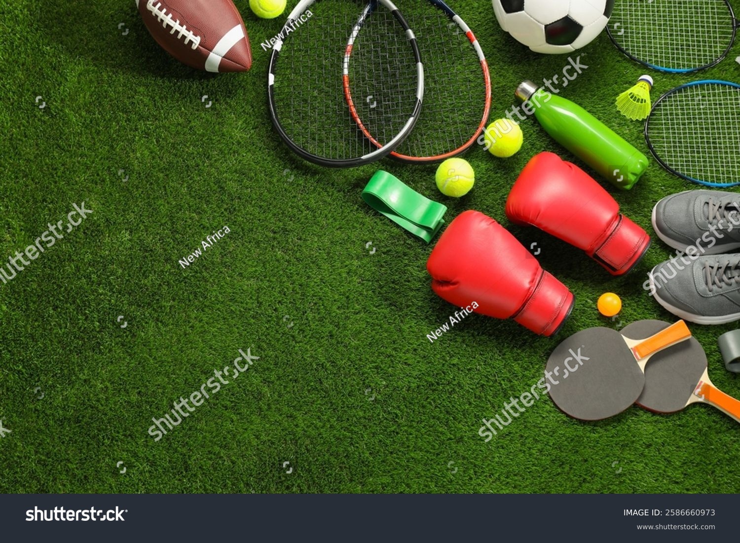 CBA常规赛：辽宁本钢主场胜北京控股队